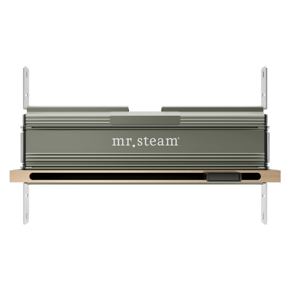 Mr. Steam Linear 16 in. W. Steamhead with AromaTherapy Reservoir Mr. Steam