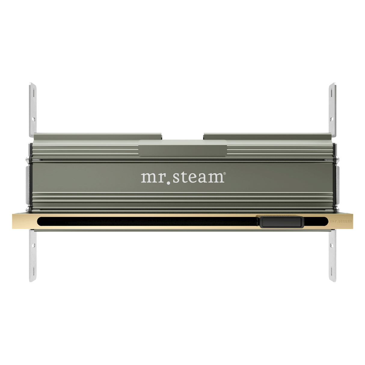 Mr. Steam Linear 16 in. W. Steamhead with AromaTherapy Reservoir Mr. Steam