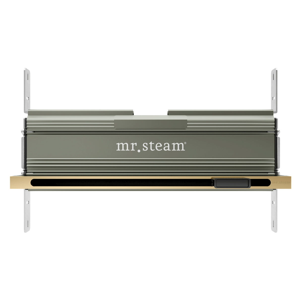 Mr. Steam Linear 16 in. W. Steamhead with AromaTherapy Reservoir Mr. Steam