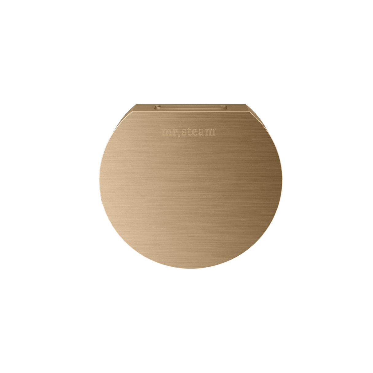 Mr. Steam Designer Round 3 in. Steamhead with AromaTherapy Reservoir Mr. Steam