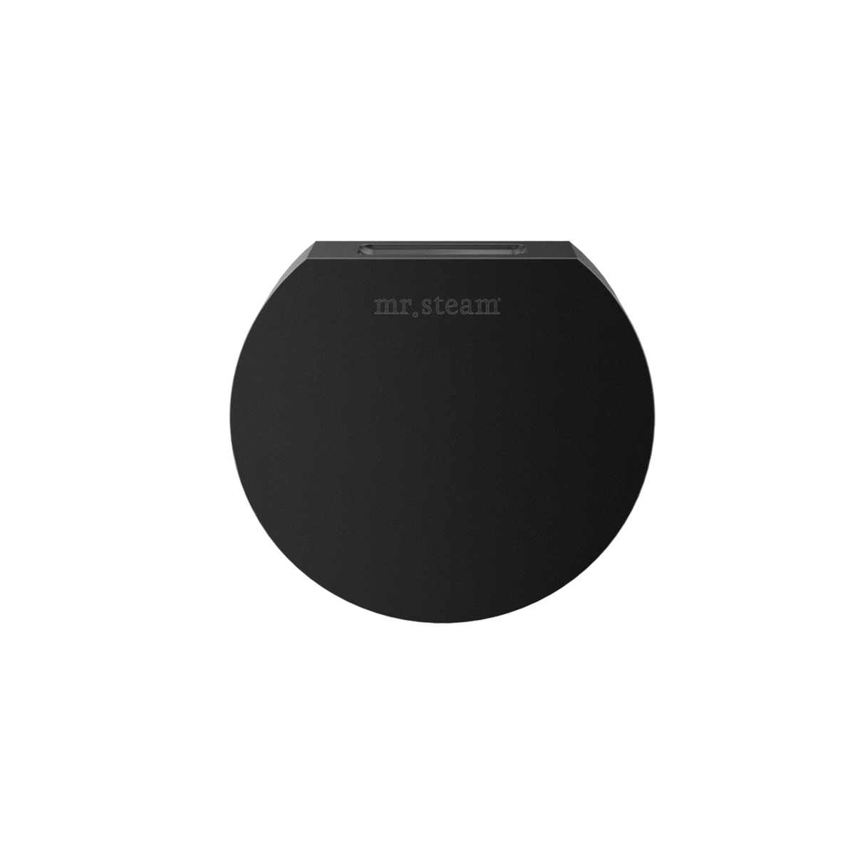 Mr. Steam Designer Round 3 in. Steamhead with AromaTherapy Reservoir Mr. Steam