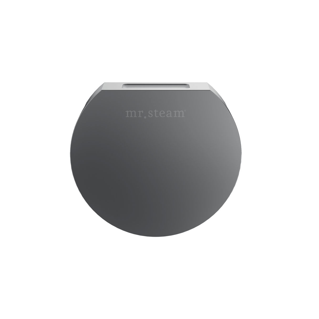 Mr. Steam Designer Round 3 in. Steamhead with AromaTherapy Reservoir Mr. Steam