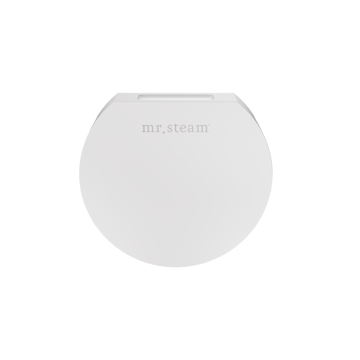 Mr. Steam Designer Round 3 in. Steamhead with AromaTherapy Reservoir Mr. Steam