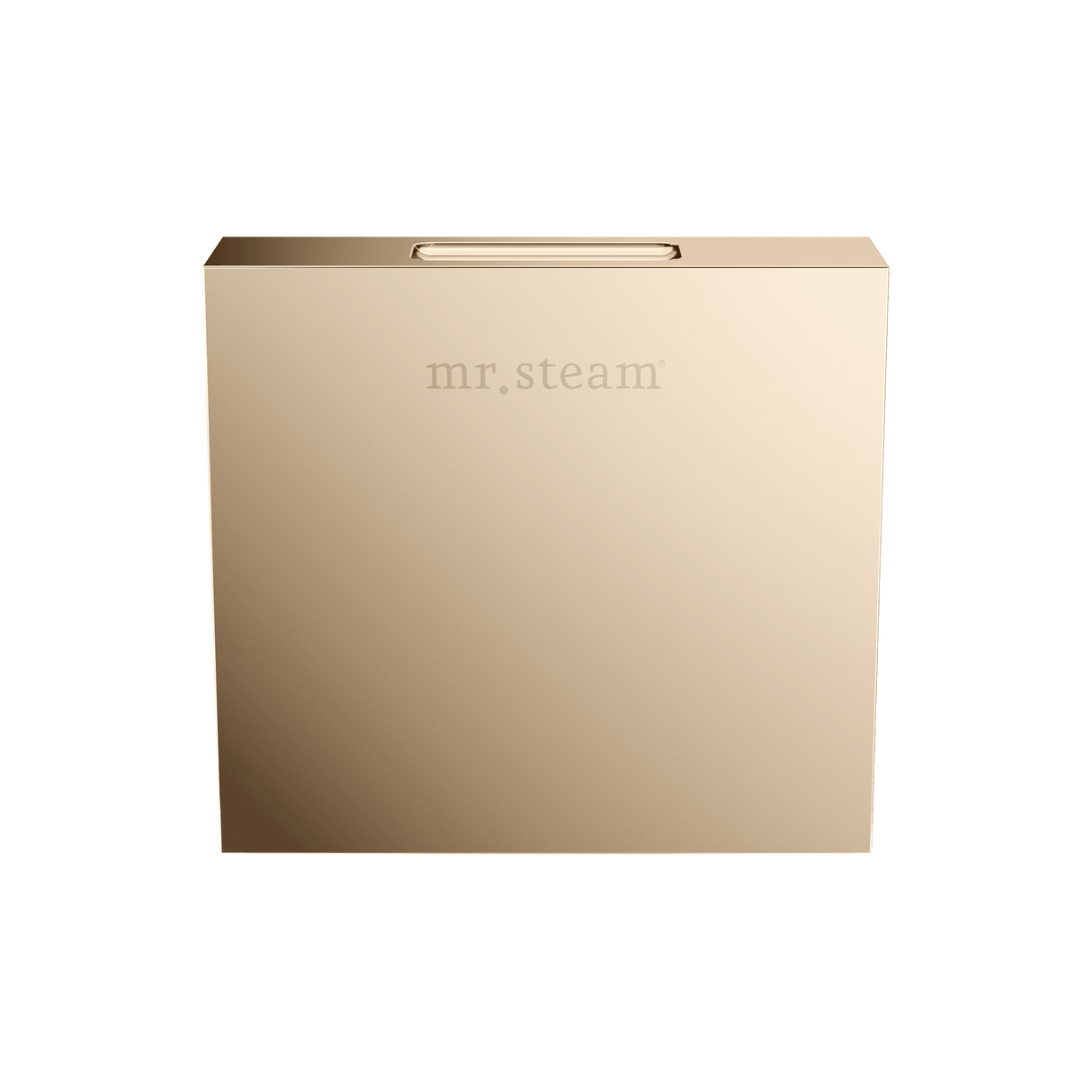 Mr. Steam Designer Square 3 in. Steamhead with AromaTherapy Reservoir Mr. Steam