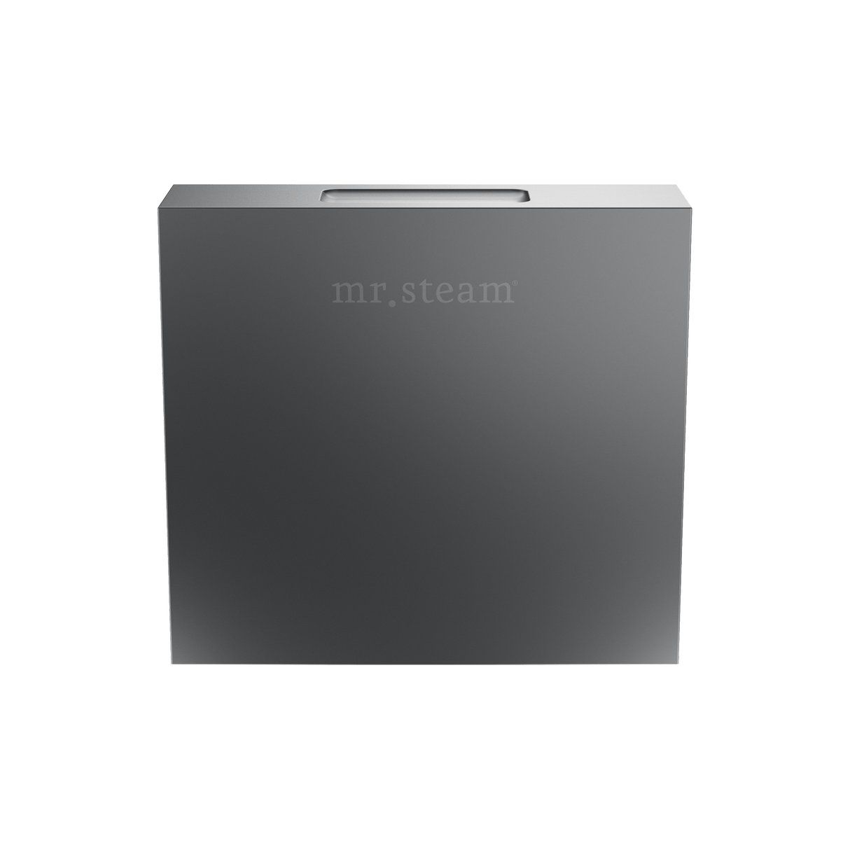 Mr. Steam Designer Square 3 in. Steamhead with AromaTherapy Reservoir Mr. Steam