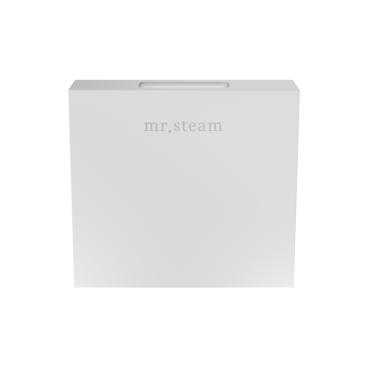 Mr. Steam Designer Square 3 in. Steamhead with AromaTherapy Reservoir Mr. Steam