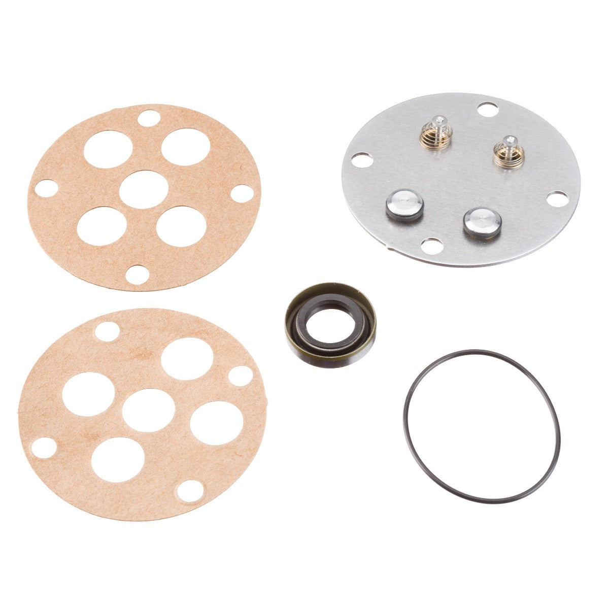 RIDGID 33422 ML Pump Service Kit RIDGID