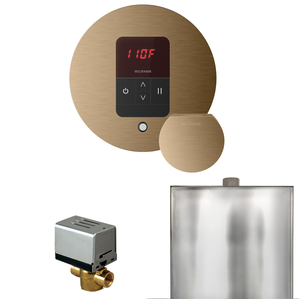 Mr. Steam Basic Butler Steam Shower Control Package with iTempo Control and Steamhead Mr. Steam