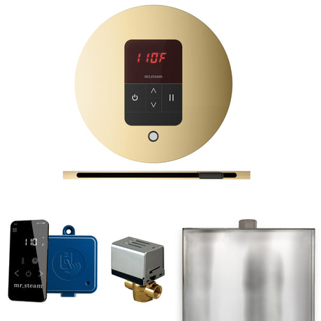 Mr. Steam Basic Butler Steam Control Package with iTempo Control and Linear Steamhead Mr. Steam