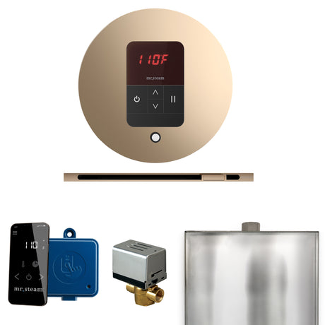 Mr. Steam Basic Butler Steam Control Package with iTempo Control and Linear Steamhead Mr. Steam