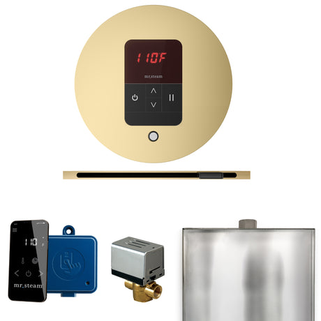 Mr. Steam Basic Butler Steam Control Package with iTempo Control and Linear Steamhead Mr. Steam