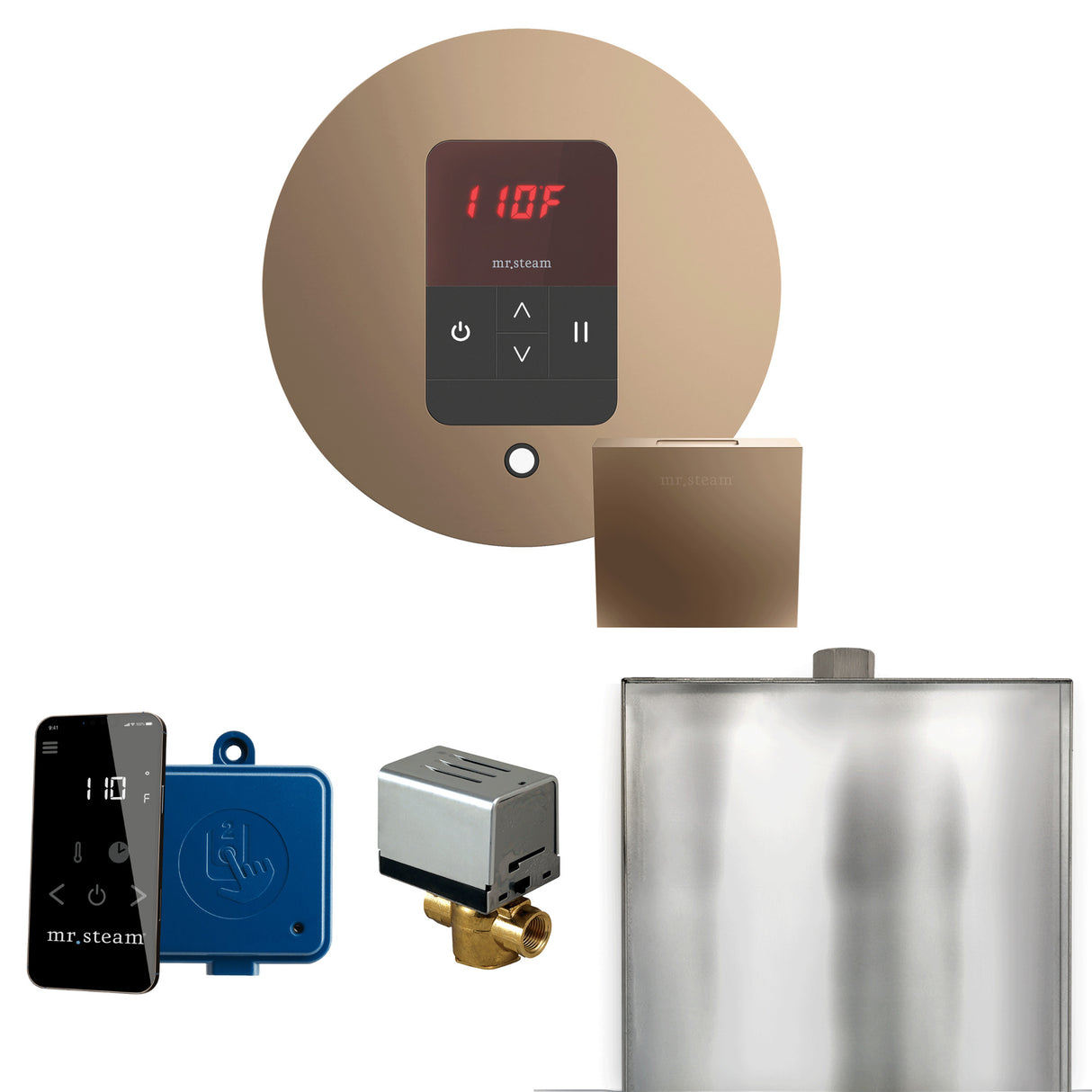 Mr. Steam Basic Butler Steam Shower Control Package with iTempo Control and Steamhead Mr. Steam