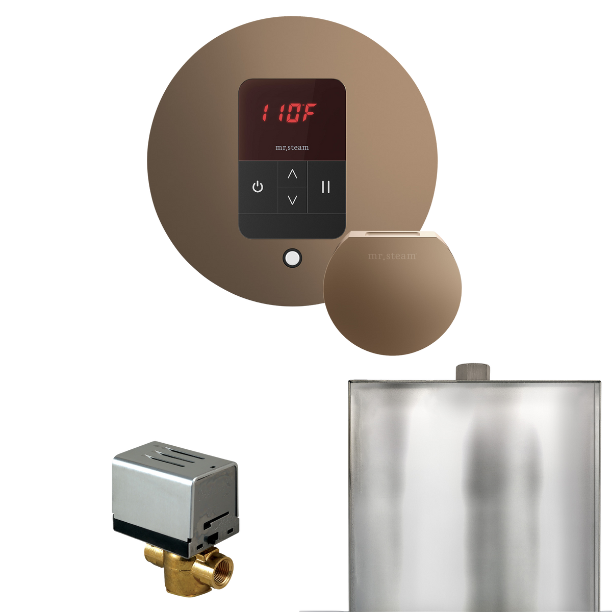 Mr. Steam Basic Butler Steam Shower Control Package with iTempo Control and Steamhead Mr. Steam