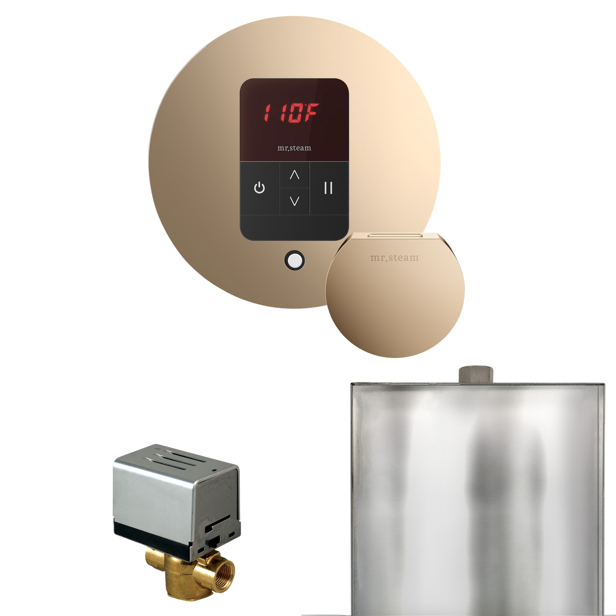 Mr. Steam Basic Butler Steam Shower Control Package with iTempo Control and Steamhead Mr. Steam