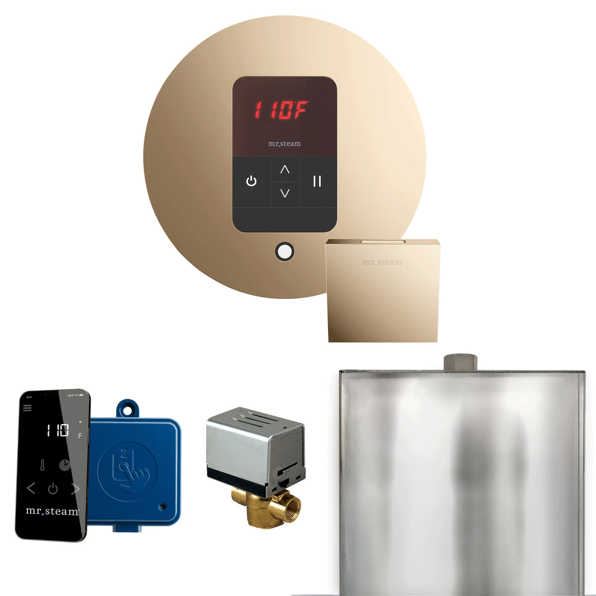 Mr. Steam Basic Butler Steam Shower Control Package with iTempo Control and Steamhead Mr. Steam