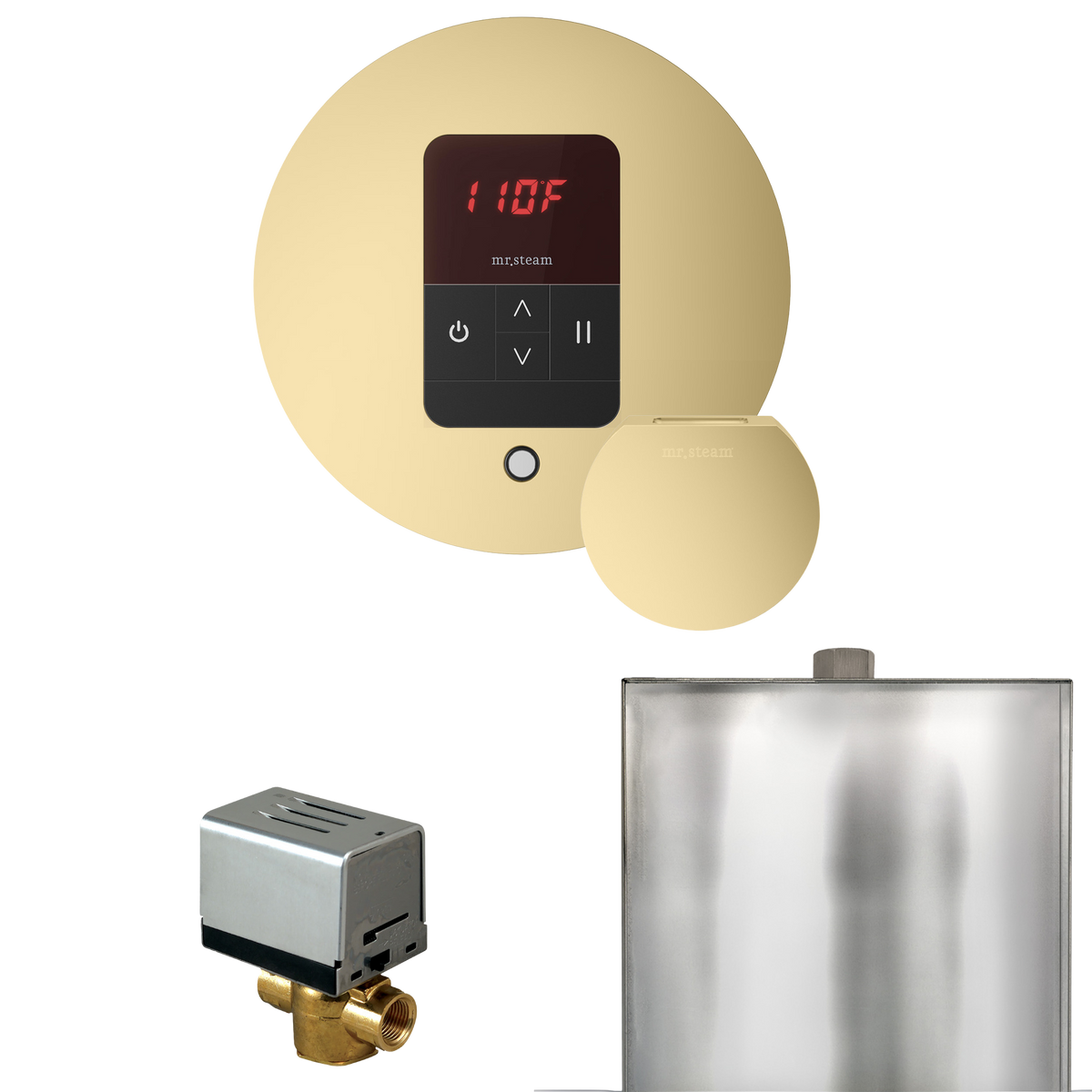 Mr. Steam Basic Butler Steam Shower Control Package with iTempo Control and Steamhead Mr. Steam