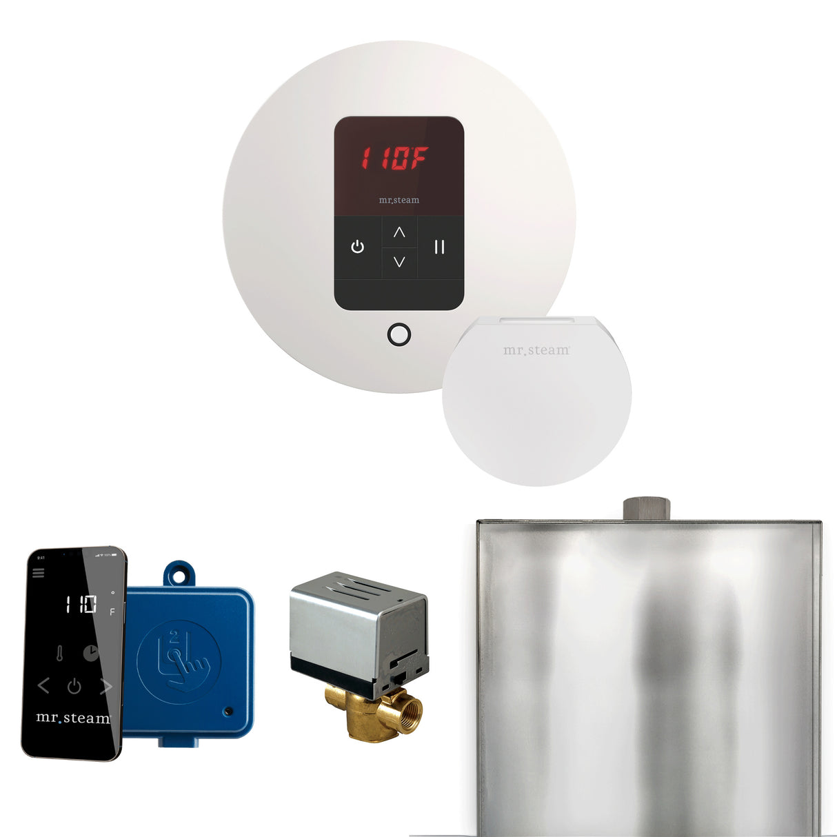 Mr. Steam Basic Butler Steam Shower Control Package with iTempo Control and Steamhead Mr. Steam