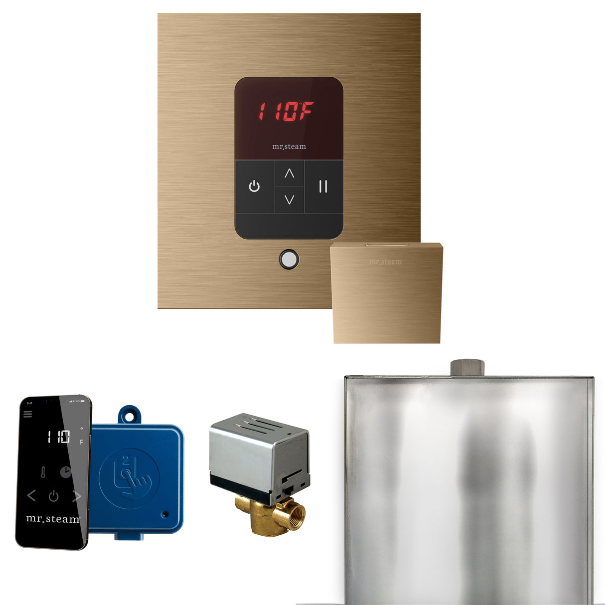 Mr. Steam Basic Butler Steam Shower Control Package with iTempo Control and Steamhead Mr. Steam