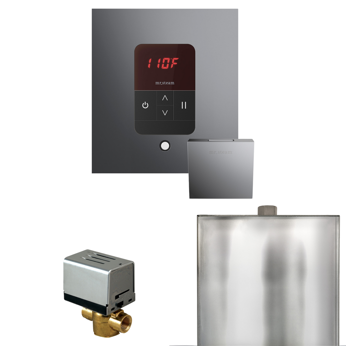 Mr. Steam Basic Butler Steam Shower Control Package with iTempo Control and Steamhead Mr. Steam