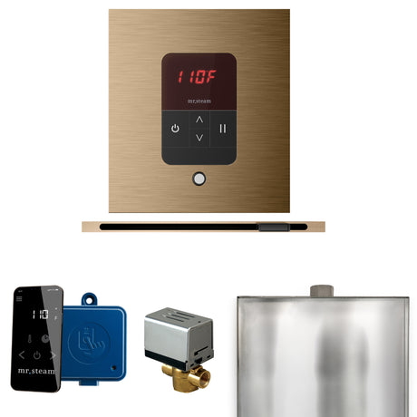 Mr. Steam Basic Butler Steam Control Package with iTempo Control and Linear Steamhead Mr. Steam