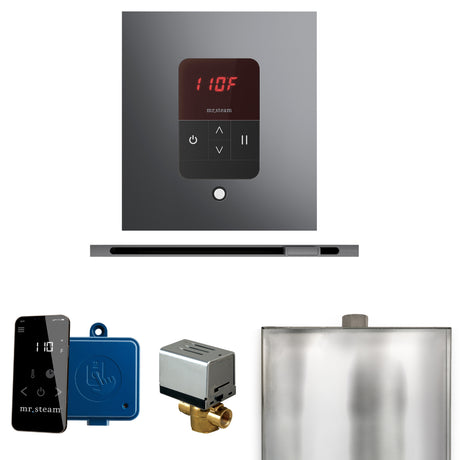 Mr. Steam Basic Butler Steam Control Package with iTempo Control and Linear Steamhead Mr. Steam