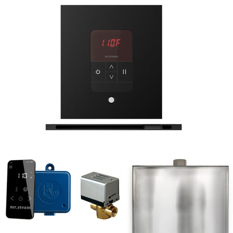 Mr. Steam Basic Butler Steam Control Package with iTempo Control and Linear Steamhead Mr. Steam