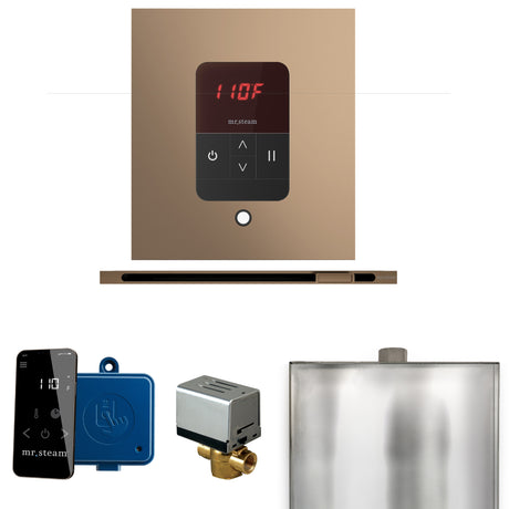 Mr. Steam Basic Butler Steam Control Package with iTempo Control and Linear Steamhead Mr. Steam