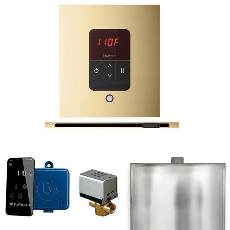 Mr. Steam Basic Butler Steam Control Package with iTempo Control and Linear Steamhead Mr. Steam