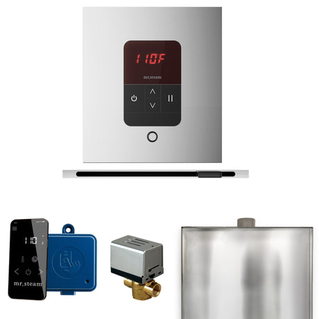 Mr. Steam Basic Butler Steam Control Package with iTempo Control and Linear Steamhead Mr. Steam