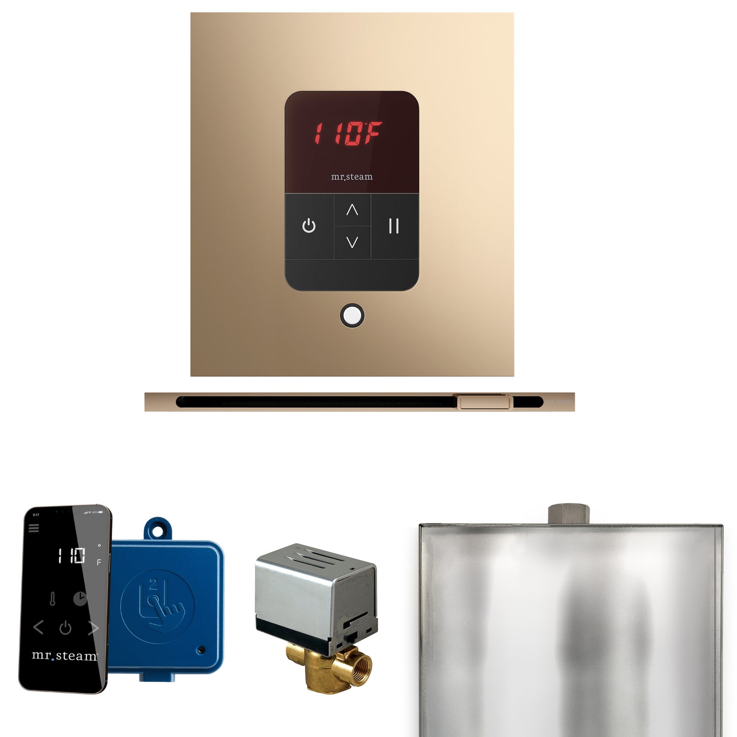 Mr. Steam Basic Butler Steam Control Package with iTempo Control and Linear Steamhead Mr. Steam