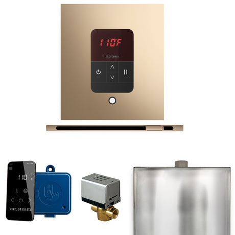 Mr. Steam Basic Butler Steam Control Package with iTempo Control and Linear Steamhead Mr. Steam