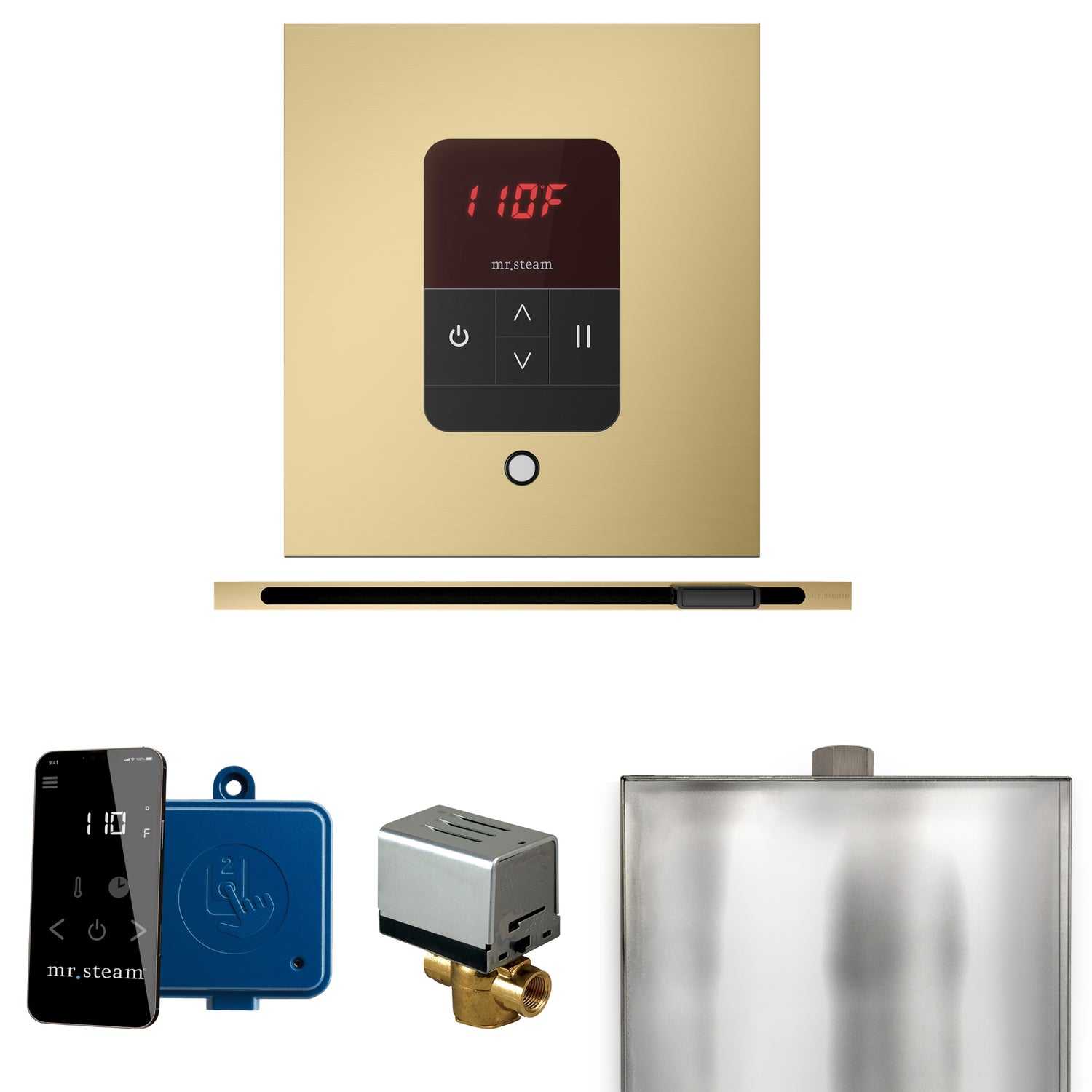 Mr. Steam Basic Butler Steam Control Package with iTempo Control and Linear Steamhead Mr. Steam