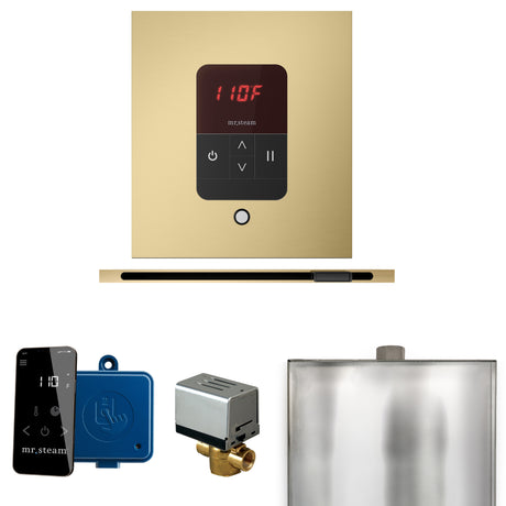 Mr. Steam Basic Butler Steam Control Package with iTempo Control and Linear Steamhead Mr. Steam