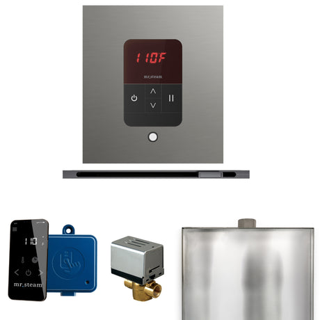 Mr. Steam Basic Butler Steam Control Package with iTempo Control and Linear Steamhead Mr. Steam