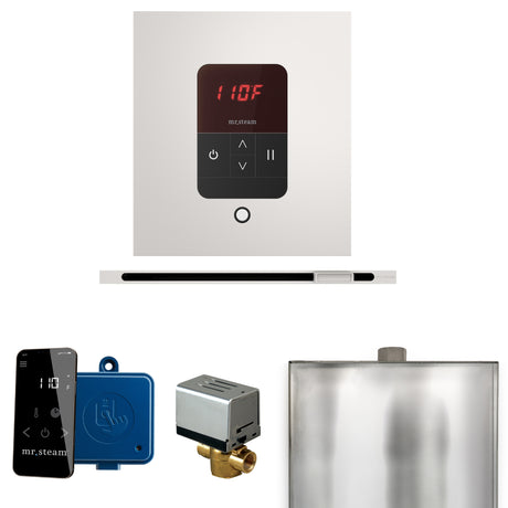 Mr. Steam Basic Butler Steam Control Package with iTempo Control and Linear Steamhead Mr. Steam