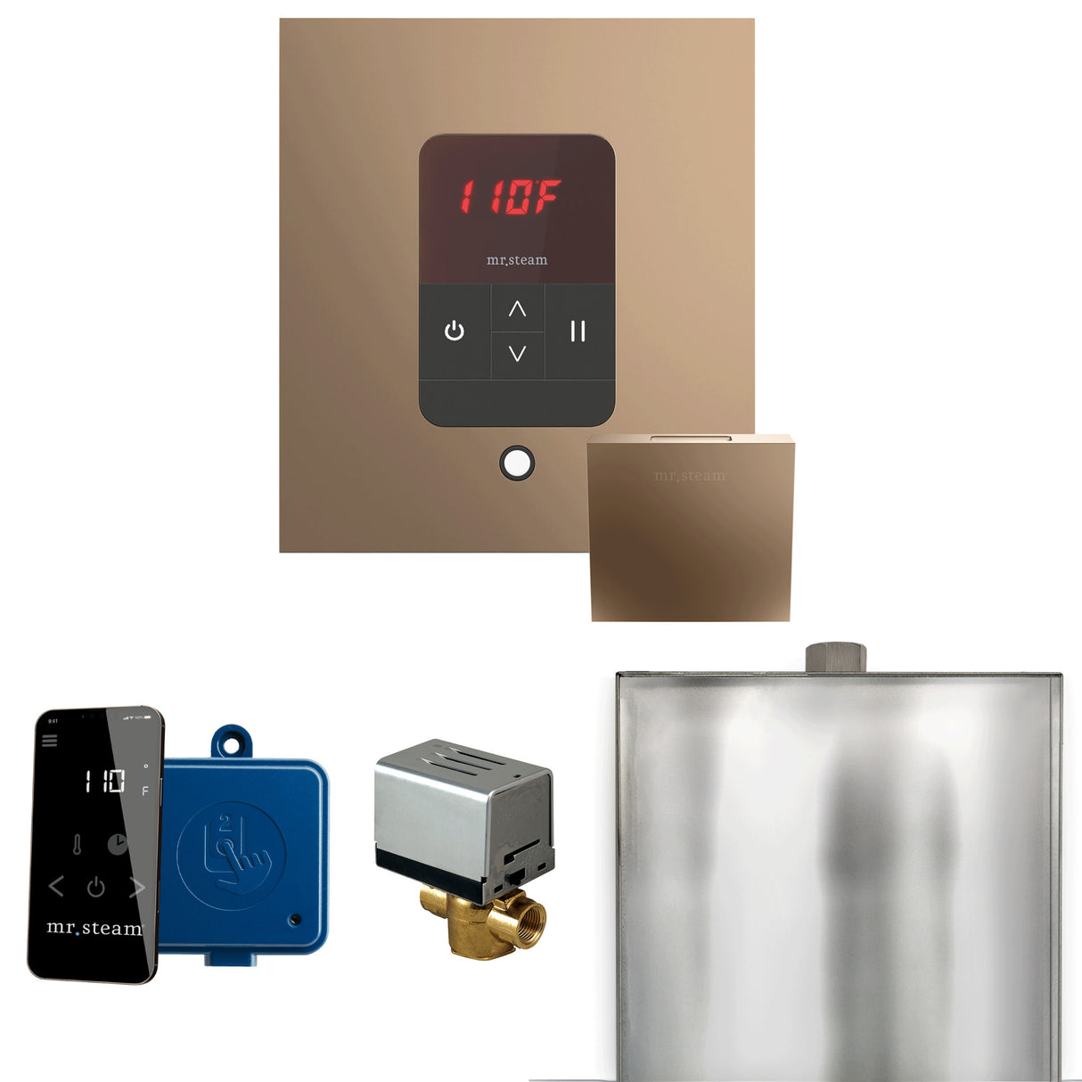 Mr. Steam Basic Butler Steam Shower Control Package with iTempo Control and Steamhead Mr. Steam