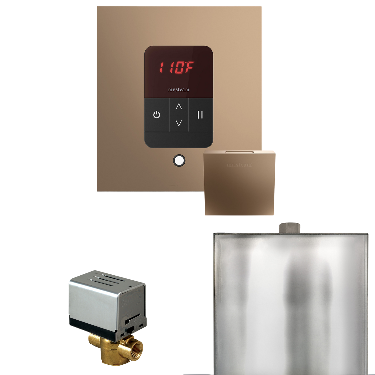 Mr. Steam Basic Butler Steam Shower Control Package with iTempo Control and Steamhead Mr. Steam