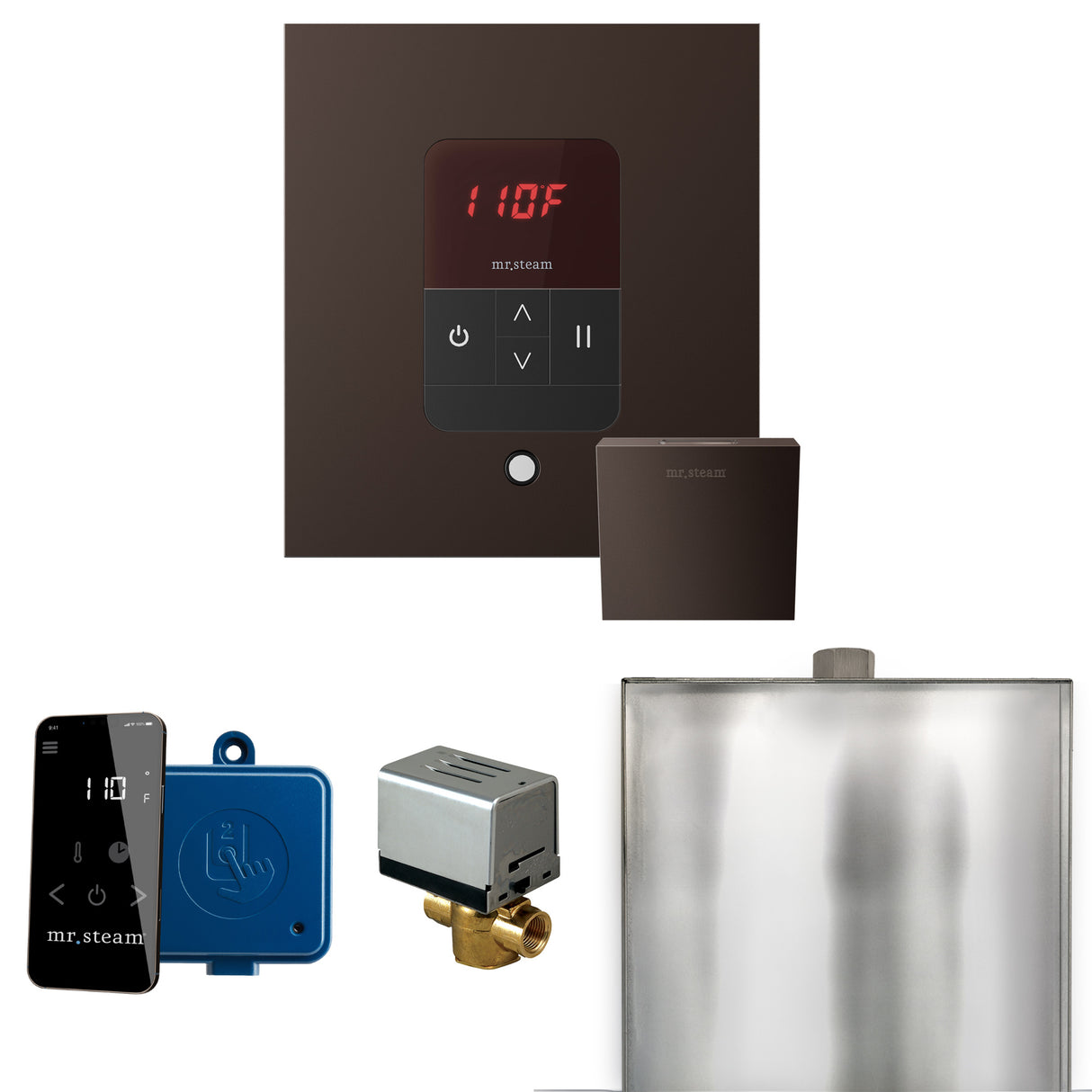 Mr. Steam Basic Butler Steam Shower Control Package with iTempo Control and Steamhead Mr. Steam