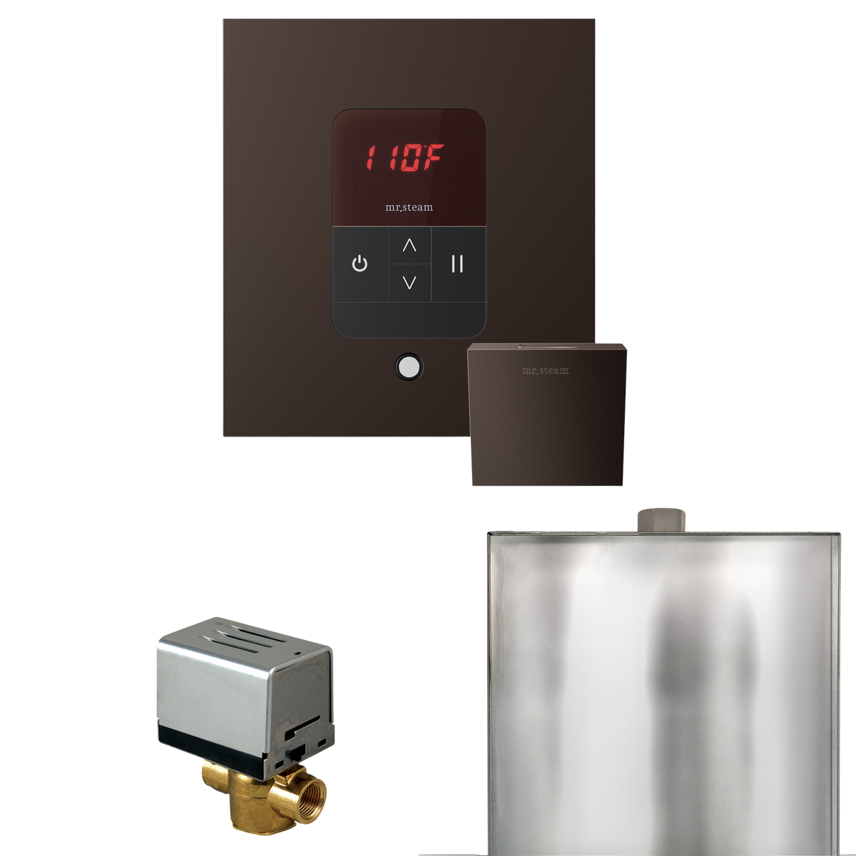 Mr. Steam Basic Butler Steam Shower Control Package with iTempo Control and Steamhead Mr. Steam