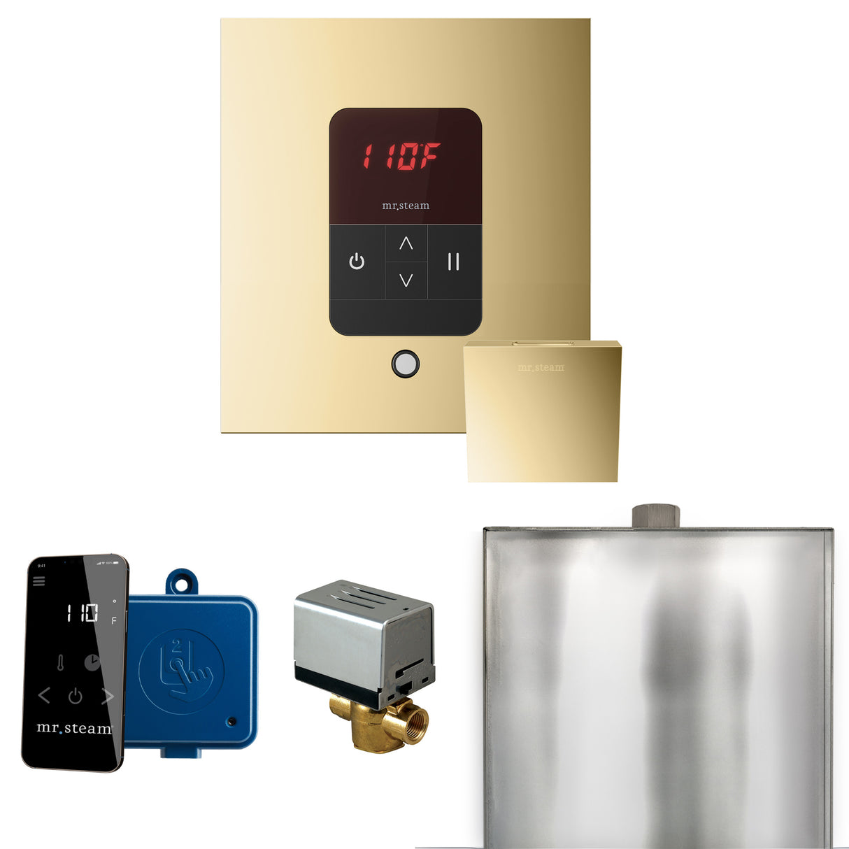 Mr. Steam Basic Butler Steam Shower Control Package with iTempo Control and Steamhead Mr. Steam