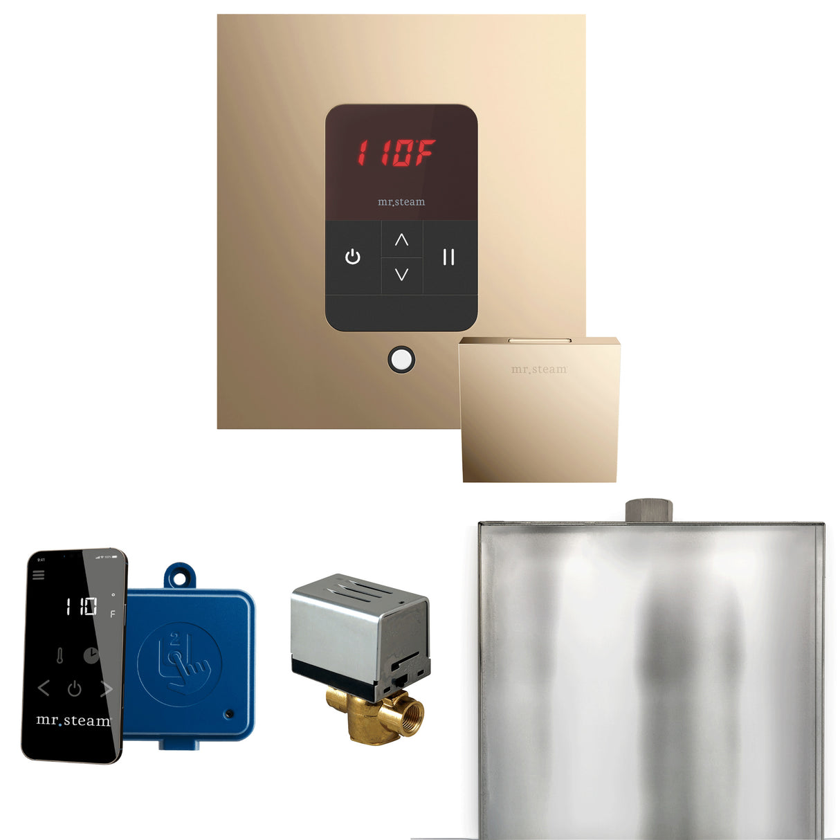 Mr. Steam Basic Butler Steam Shower Control Package with iTempo Control and Steamhead Mr. Steam