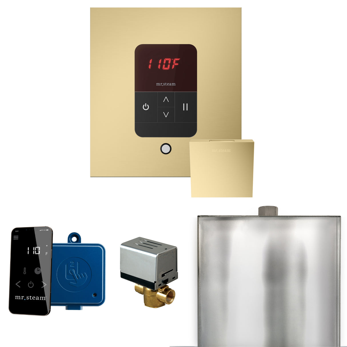 Mr. Steam Basic Butler Steam Shower Control Package with iTempo Control and Steamhead Mr. Steam