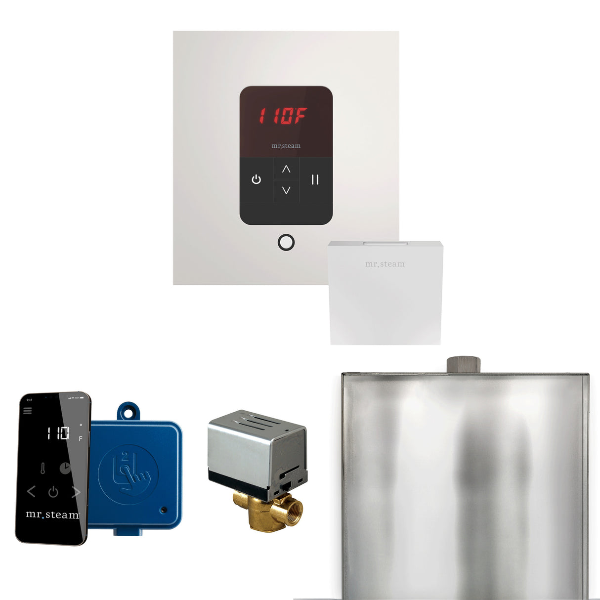 Mr. Steam Basic Butler Steam Shower Control Package with iTempo Control and Steamhead Mr. Steam