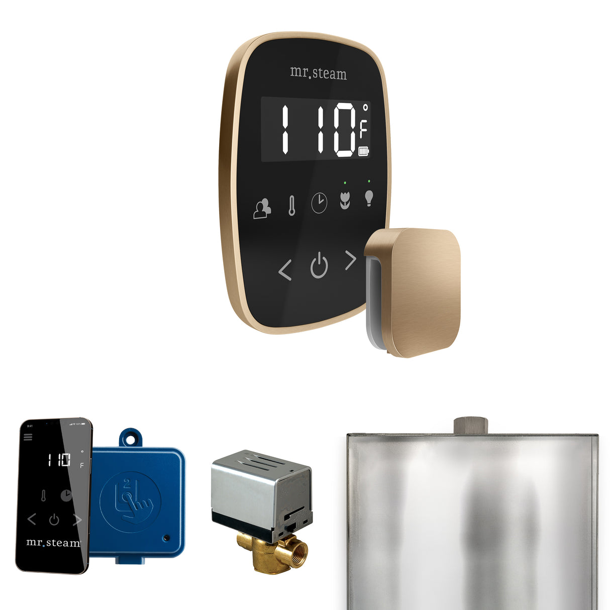 Mr. Steam ButlerFlex Steam Shower Control Package with TempoFlex Control and Steamhead Mr. Steam