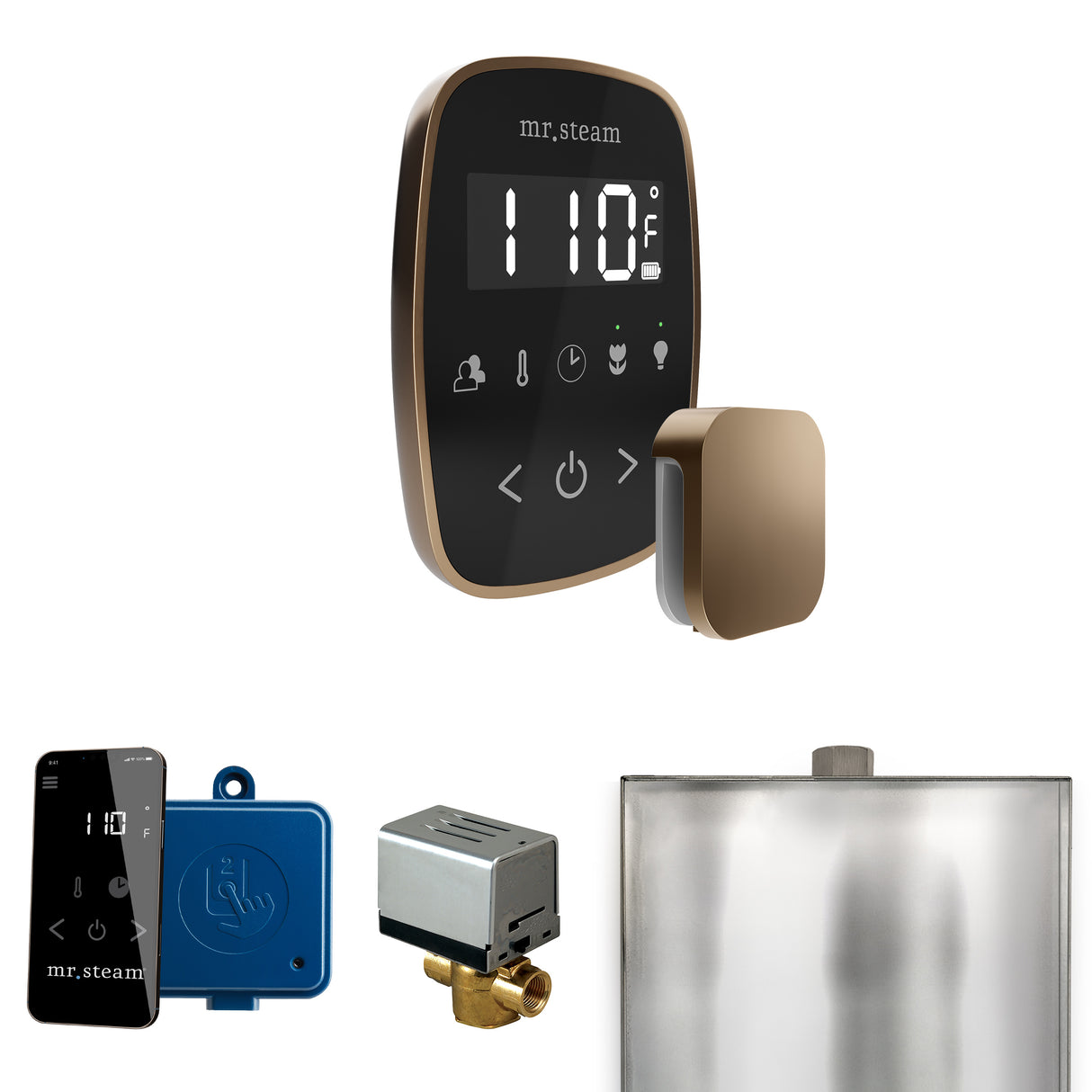 Mr. Steam ButlerFlex Steam Shower Control Package with TempoFlex Control and Steamhead Mr. Steam