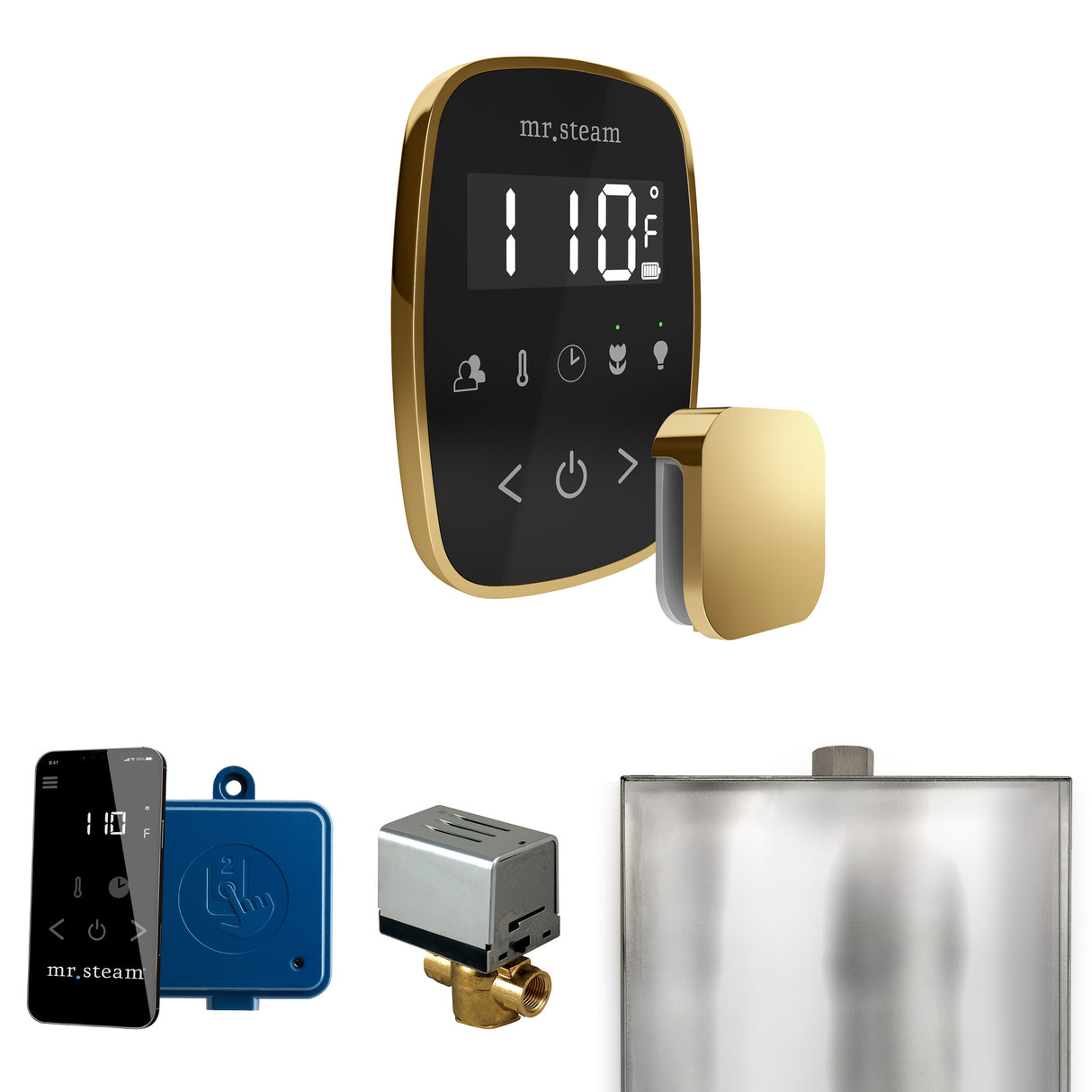 Mr. Steam ButlerFlex Steam Shower Control Package with TempoFlex Control and Steamhead Mr. Steam