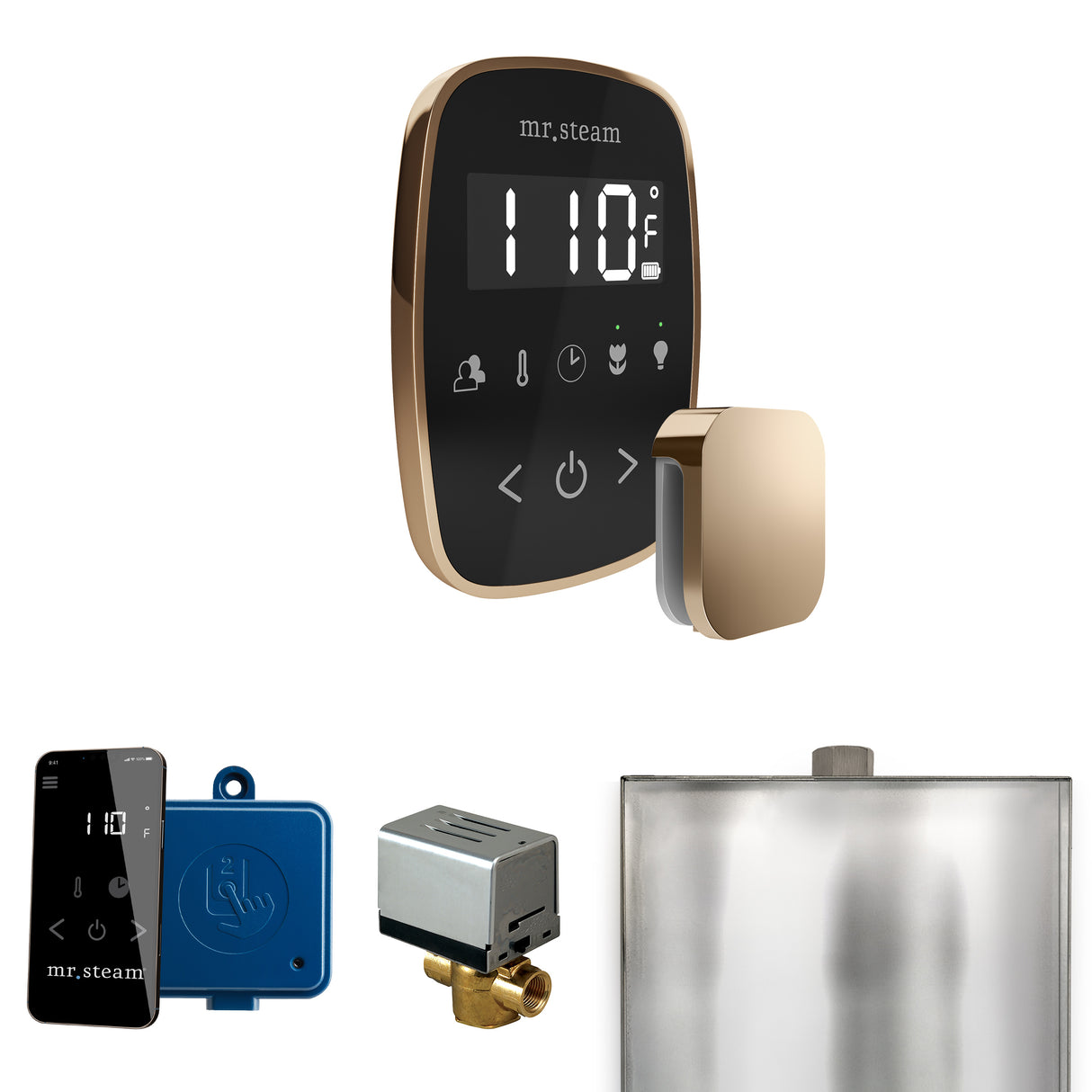 Mr. Steam ButlerFlex Steam Shower Control Package with TempoFlex Control and Steamhead Mr. Steam