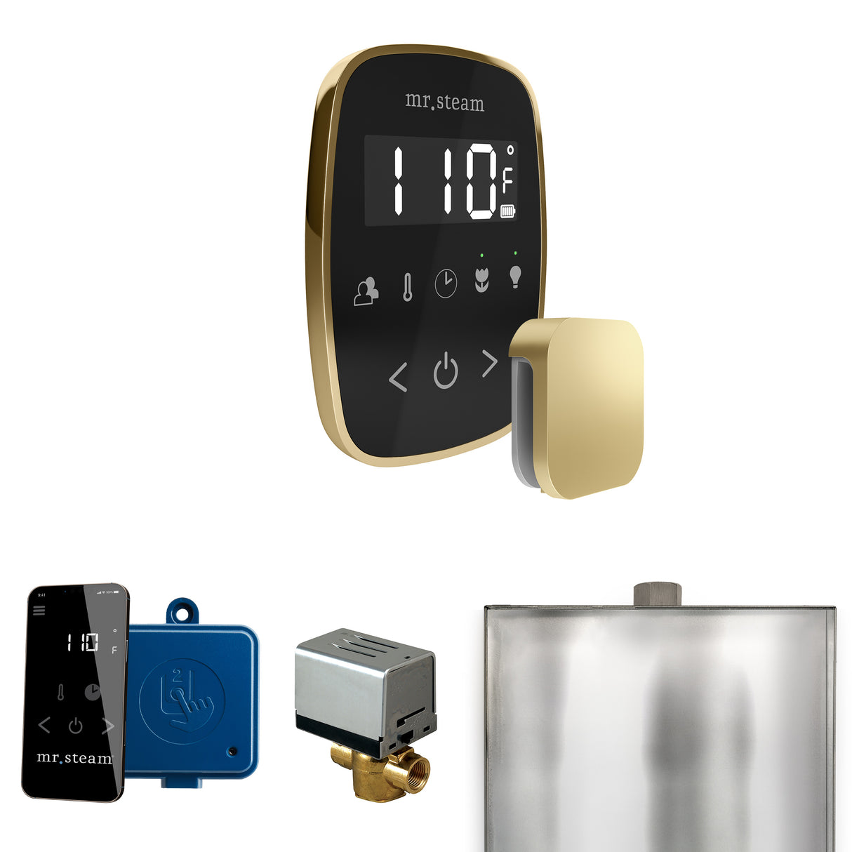 Mr. Steam ButlerFlex Steam Shower Control Package with TempoFlex Control and Steamhead Mr. Steam