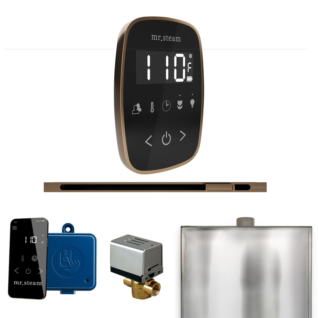 Mr. Steam ButlerFlex Steam Shower Control Package with TempoFlex Control and Linear Steamhead Mr. Steam