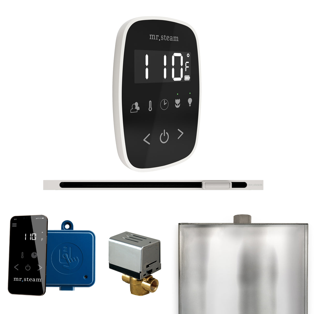 Mr. Steam ButlerFlex Steam Shower Control Package with TempoFlex Control and Linear Steamhead Mr. Steam